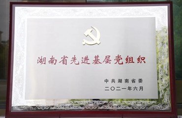 湖南省先进基层党组织